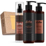 Подарочный набор для мужчин "Актив 24": укрепляющий шампунь, защитный гель для душа и дезодорант "Ультра-защита", Zeitun